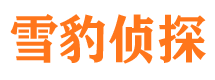 武强侦探公司